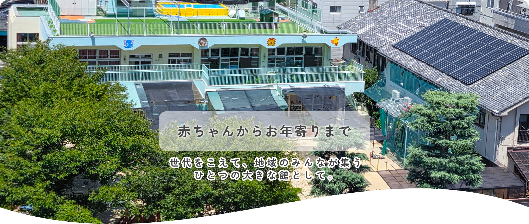赤ちゃんからお年寄りまで